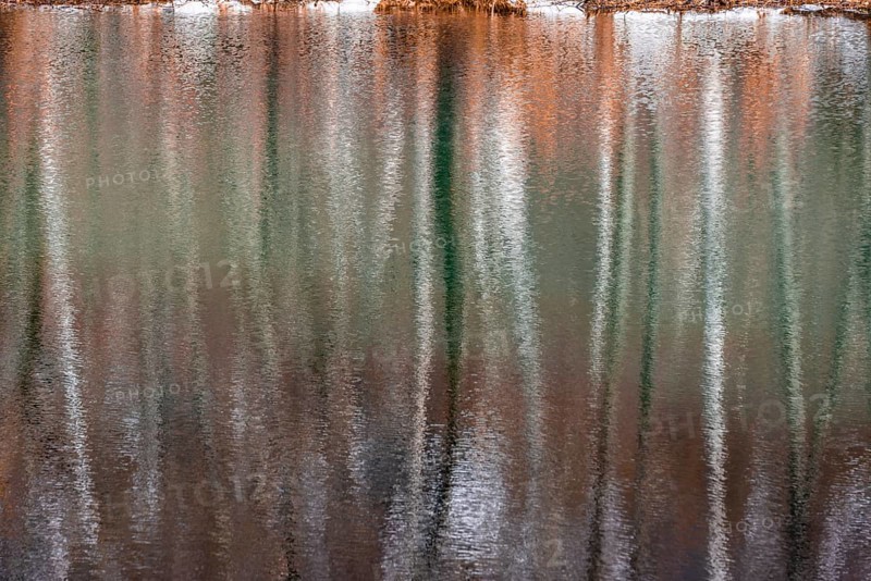 Water reflection