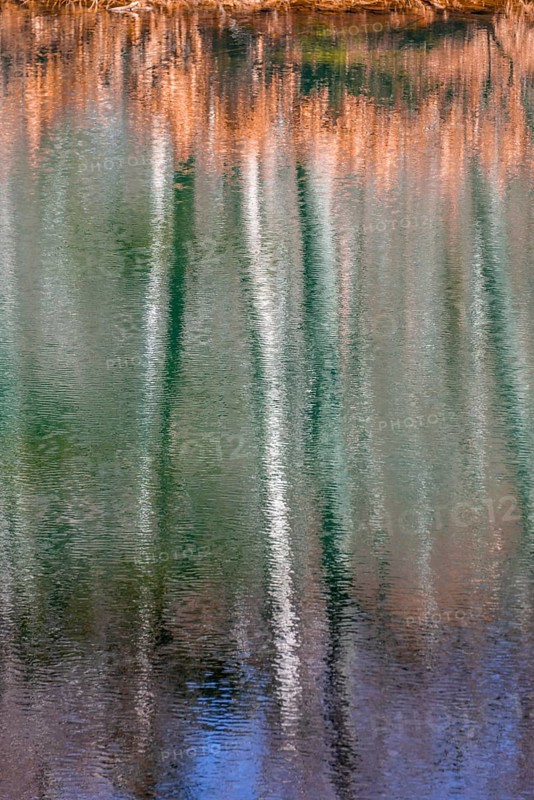 Water reflection