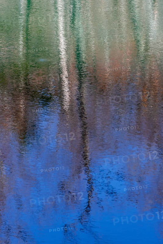 Water reflection