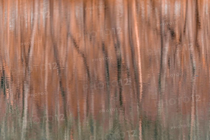 Water reflection