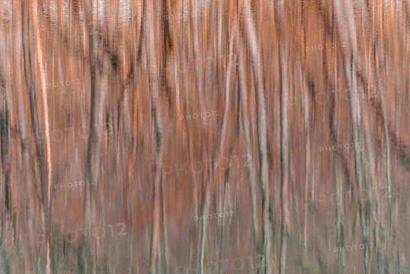 Water reflection