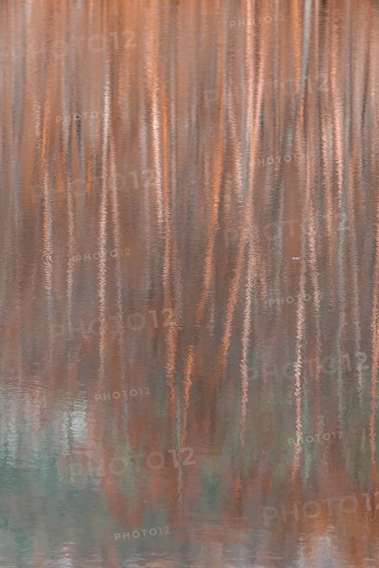 Water reflection