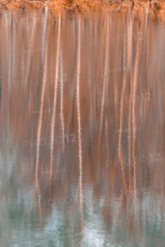 Water reflection