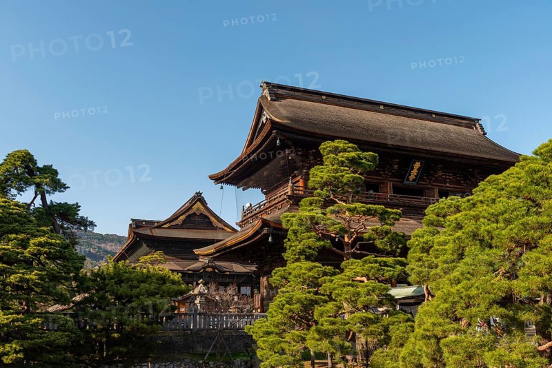 Buddhist Zenko-ji Temple