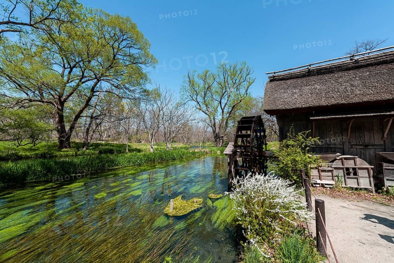 Water mill on a river