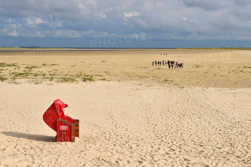 Wadden walker on the sand of the Kniephaken