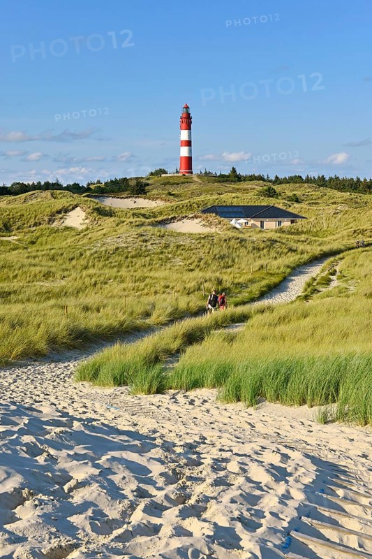 Amrum lighthouse in dune area