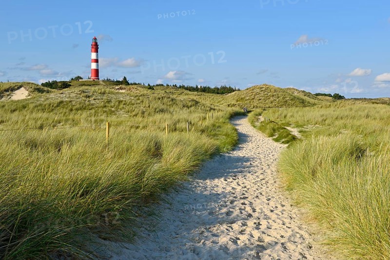 Amrum lighthouse in dune area