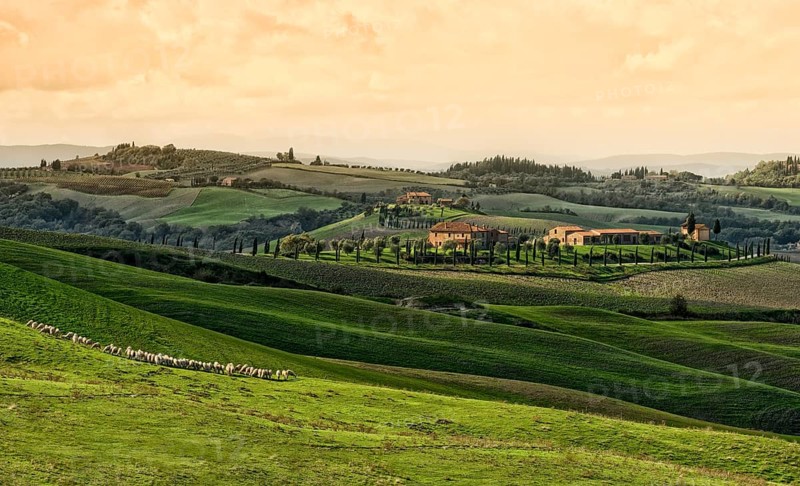 Hilly landscape
