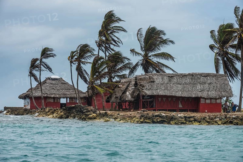 Traditional huts under palm trees