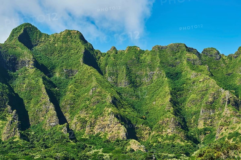 Landscape of the Kualoa Ranch & Zipline
