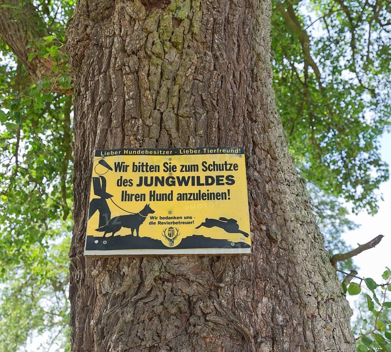 Attack on a tree with the inscription We ask you to leash your dog to protect young game