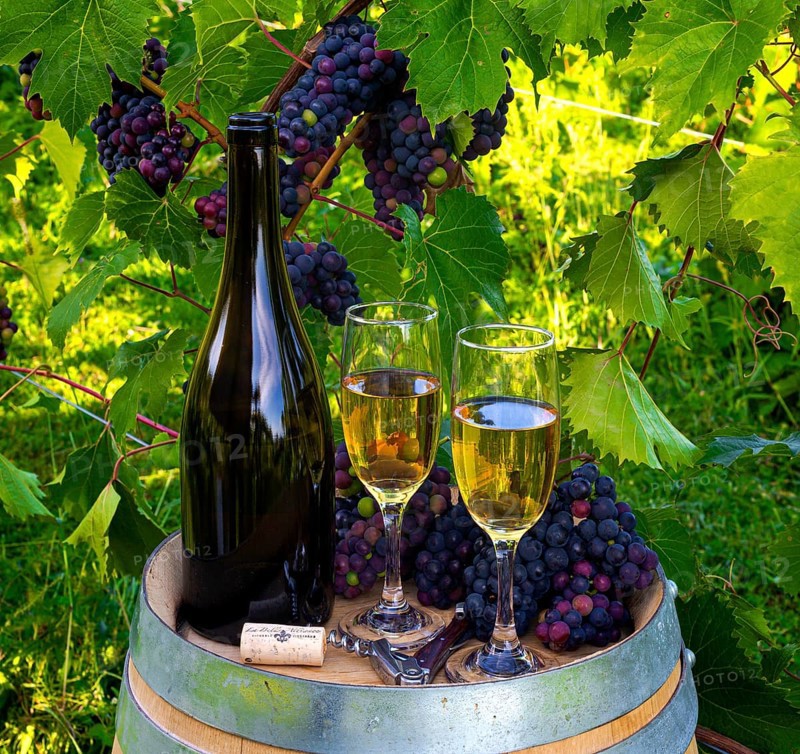 Wine bottle and glasses in vineyard with grapes in background