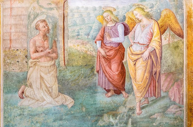 St. Francis throws himself into a rose bush