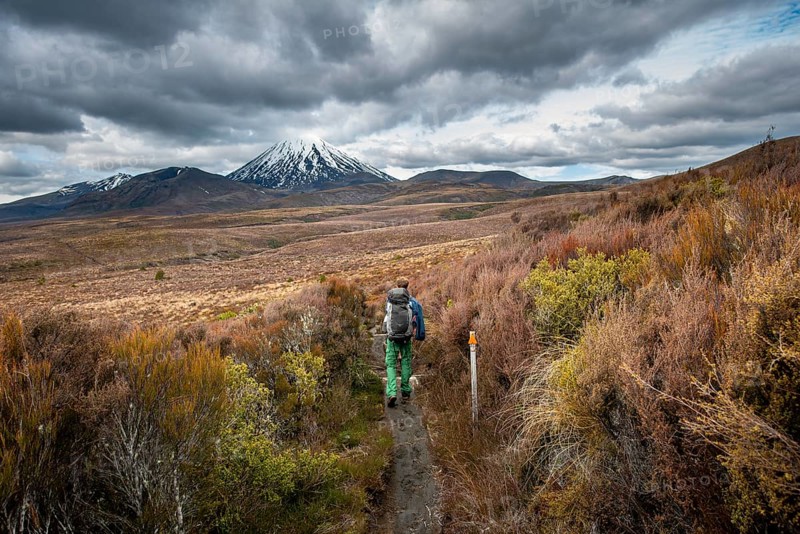 Hikers on hiking trail Tongariro Northern Circuit