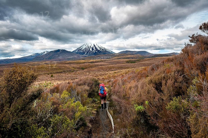 Hikers on hiking trail Tongariro Northern Circuit