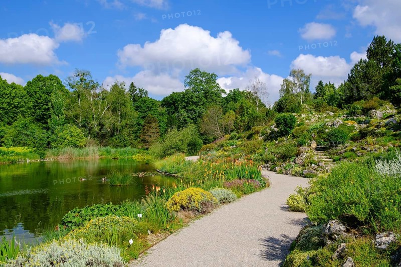 Alpinum and Great Pond