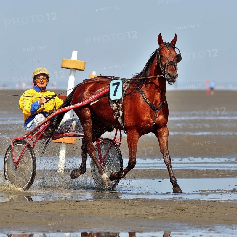 Horse and rider in Sulky