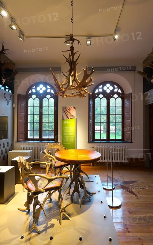 Castle museum