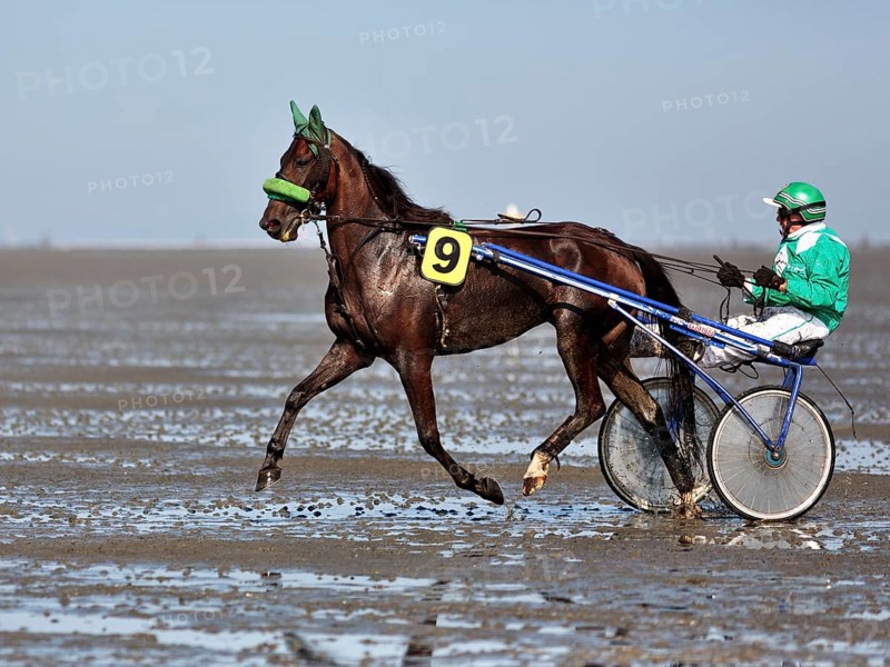 Horse and rider in Sulky