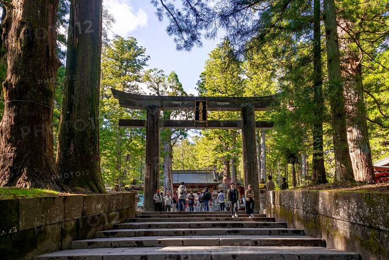 Torii Gate