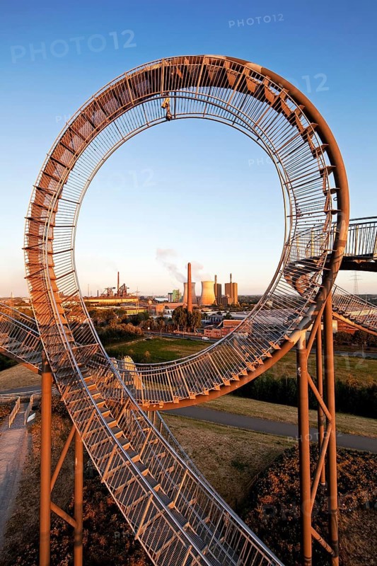 Tiger and Turtle