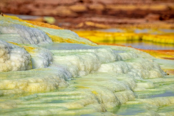 Dallol hydrothermal hot springs in the Danakil depression