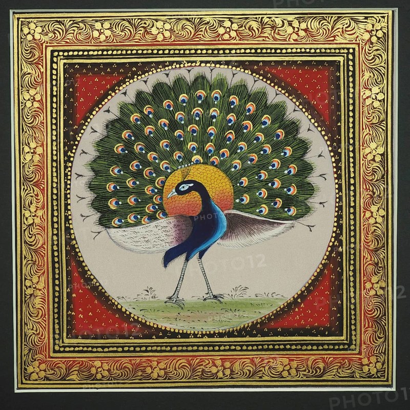 Peacock