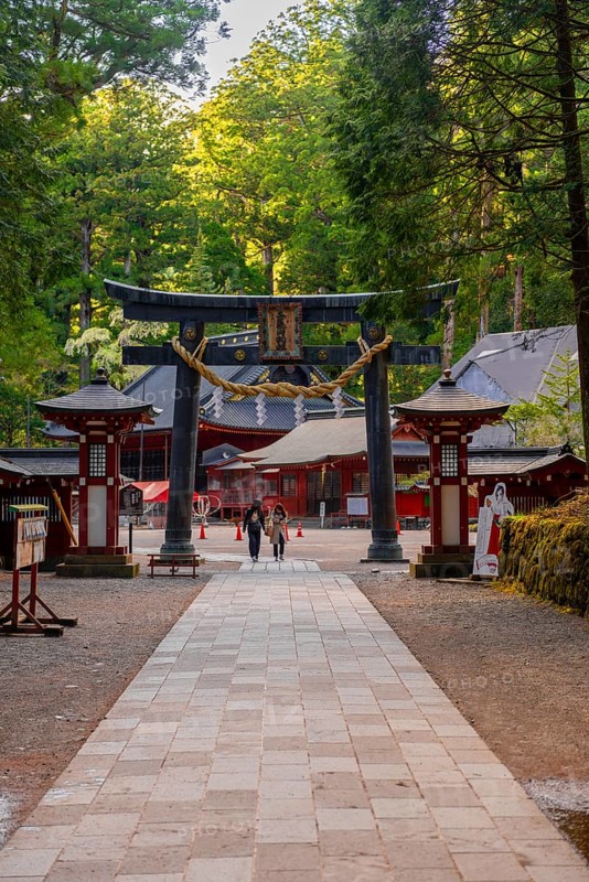 Torii Gate at Nikko Futarasan Shrine