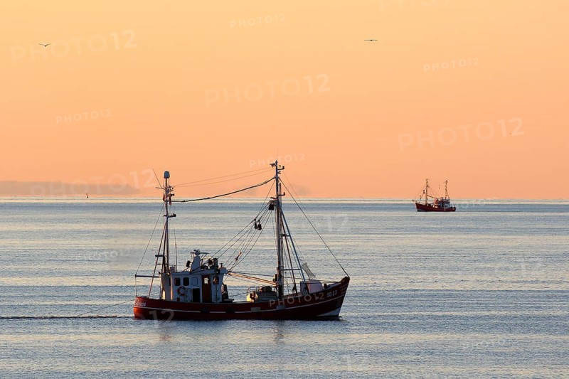 Fishing boat on fishing trip in the evening light