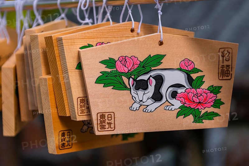 Painted cat on small wooden boards