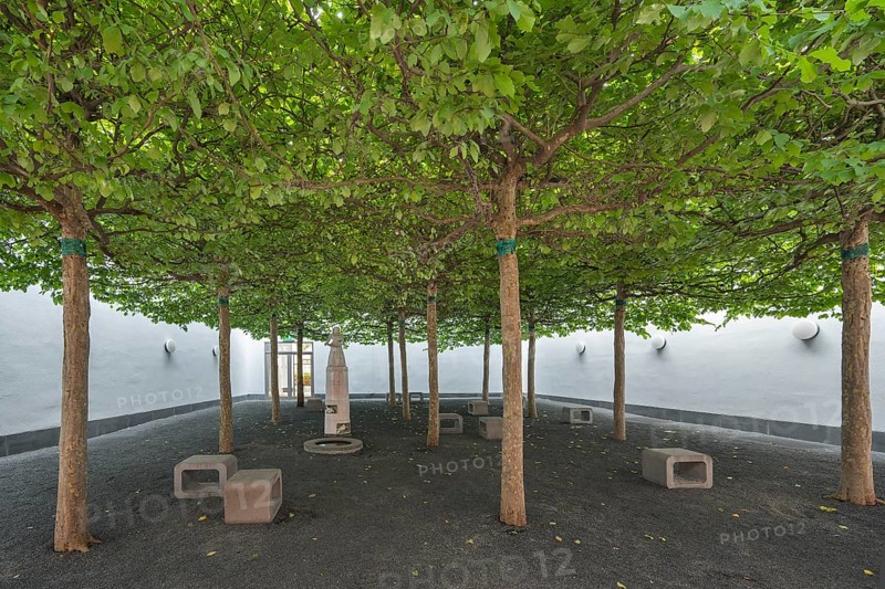 Relaxation room with plane trees