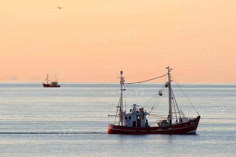Fishing boat on fishing trip in the evening light