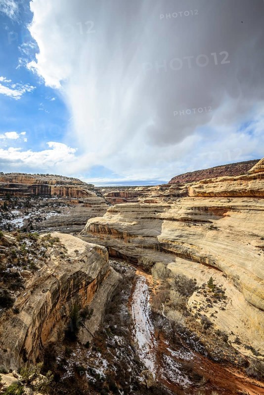 Bick into Deer Canyon near Sipapu Bridge
