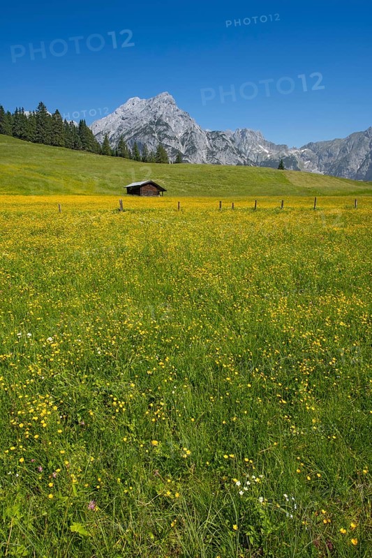 Walder-Alm