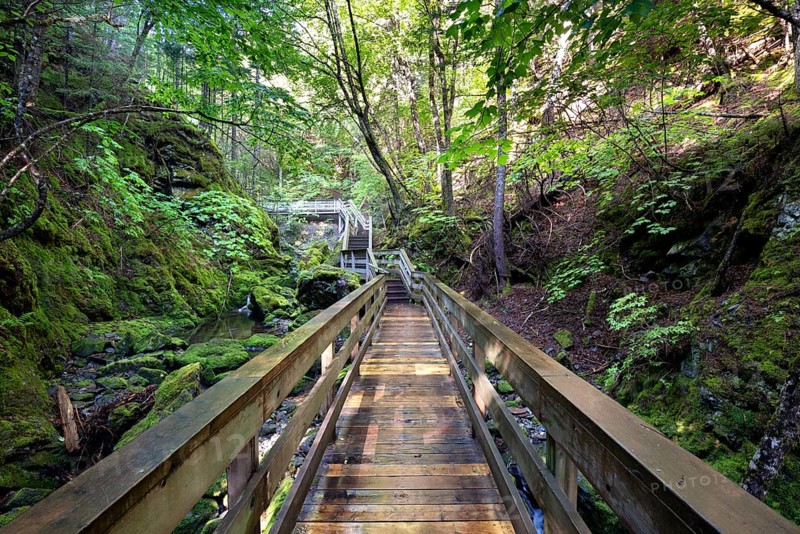 Hiking trail