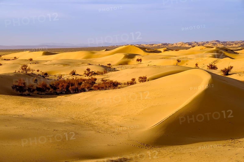 Sand dunes of Elsen Tasarkhai