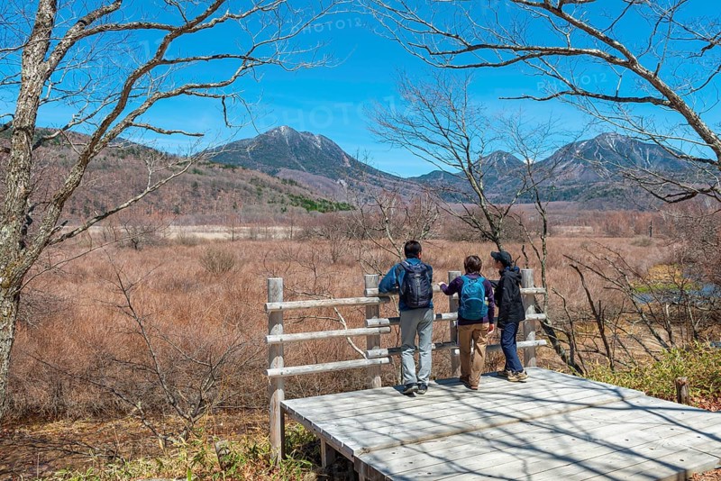 Japanese tourists look into nature