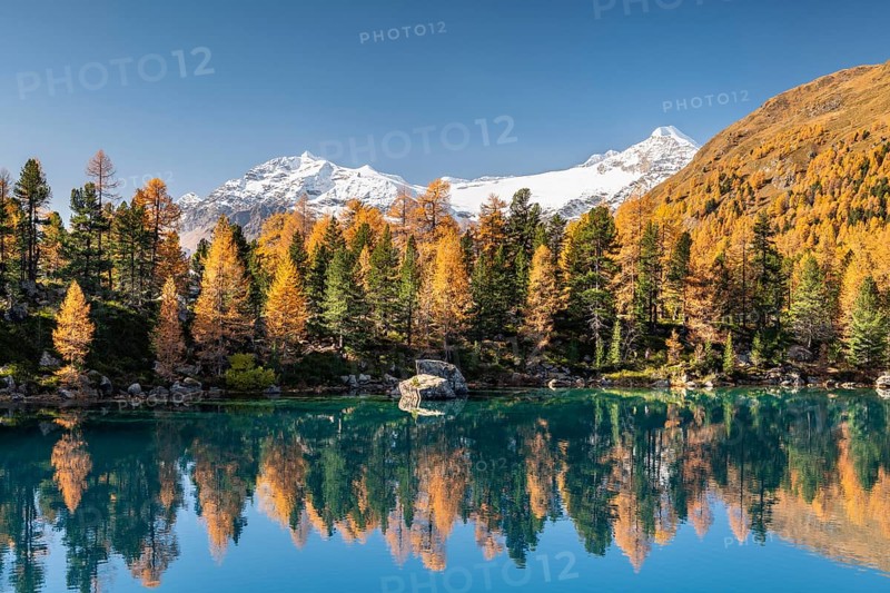 Autumn larch forest reflected in Lago di Saoseao