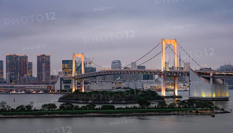View of skyline with skyscrapers and illuminated Rainbow Bridge in the evening