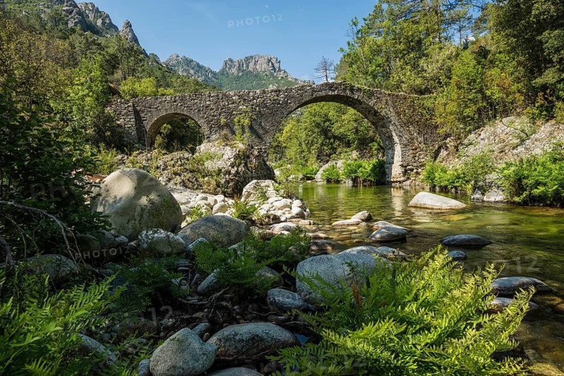 Old Genoa Bridge