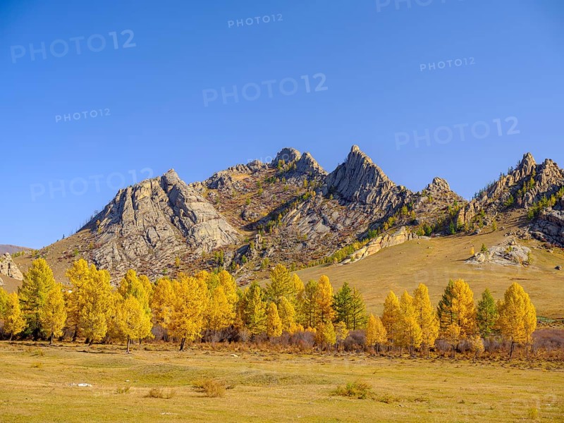 Autumnal colored trees and rocks in Gorky Terelj National Park