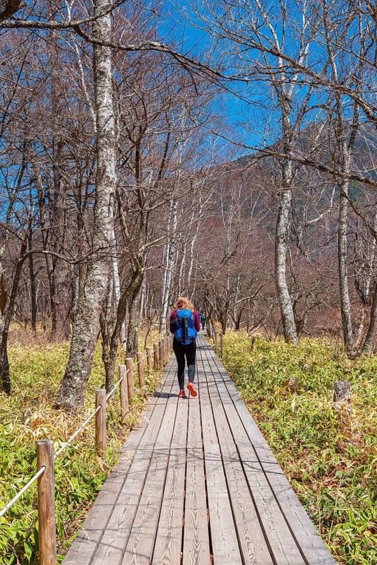 Woman on hiking trail through bamboo