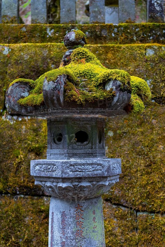 Moss-covered stone lantern