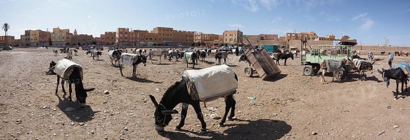 Donkey parking