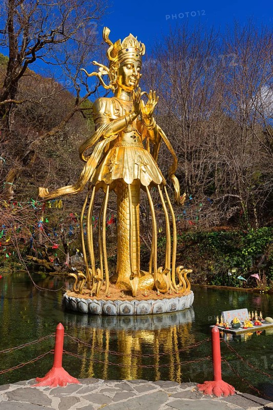Golden Statue of the God of Nature
