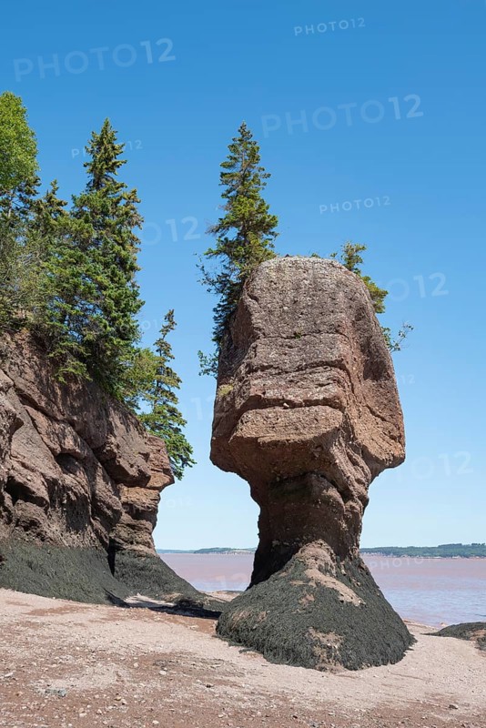 Hopewell Rocks also Flowerpot Rocks