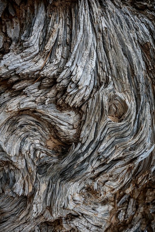 Deadwood