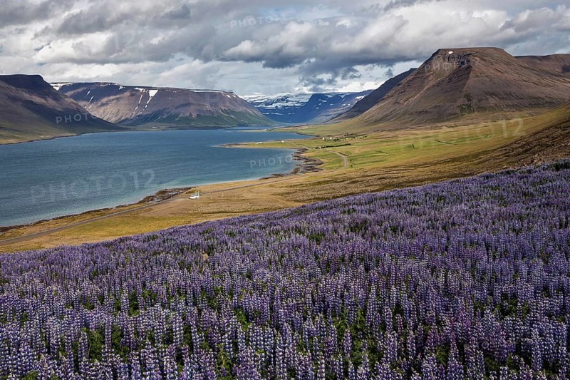 View of fjord landscape