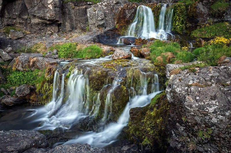 River Dynjandisa at the waterfall Dynjandifoss